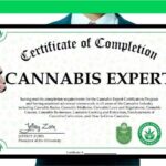 Got Pot Potential? Dive into Marijuana Certification Courses.