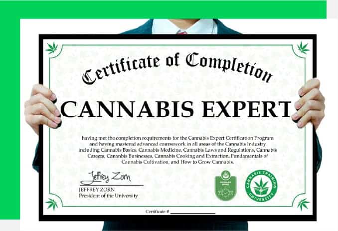 Got Pot Potential? Dive into Marijuana Certification Courses.