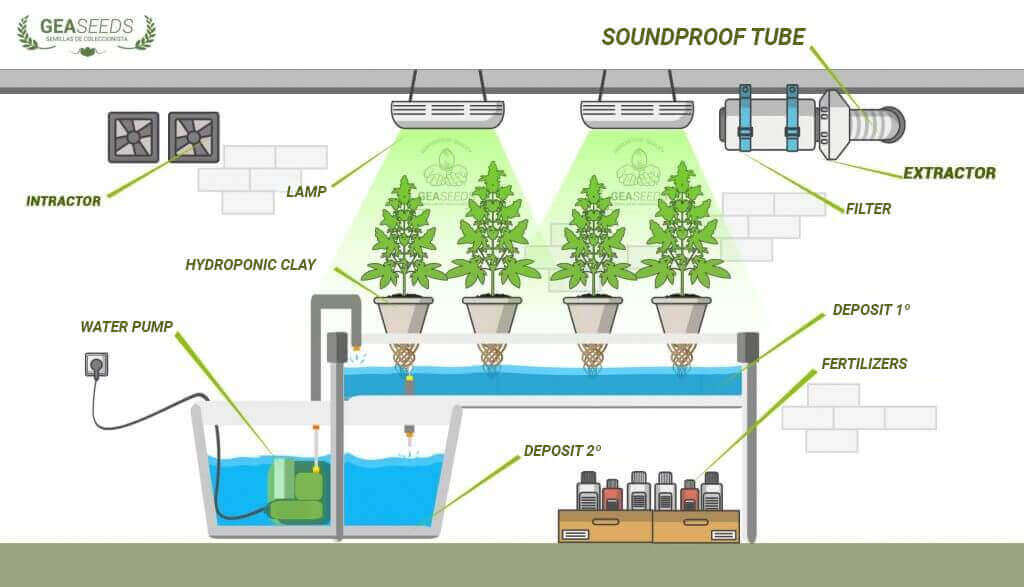 Hydroponic Cannabis Grow Systems: Cultivating Excellence